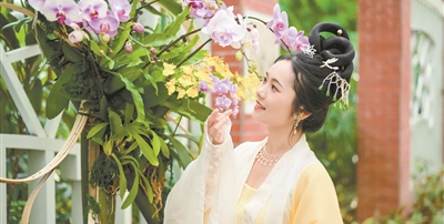 名園廣州蘭圃再出圈 “蘭緣盛薈·花開越秀”文旅周讓“小蘭花”創(chuàng)造大收益