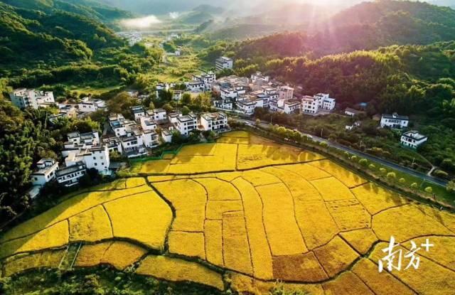 從化米埗村：“長紅”民宿村，“村”游正當(dāng)時(shí)