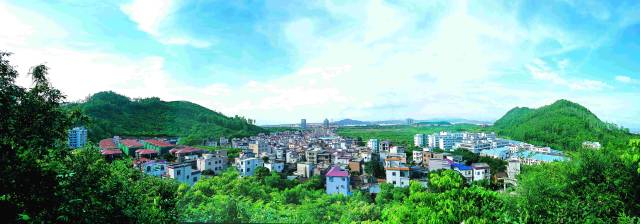 南沙鹿頸村：“喚醒”工業(yè)園，當(dāng)好“大管家”