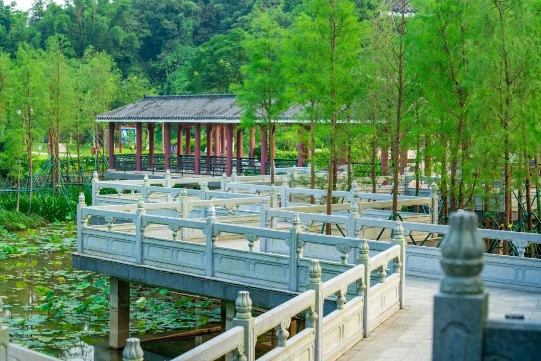 就在家門口！黃埔5大「寶藏公園」等你解鎖 →