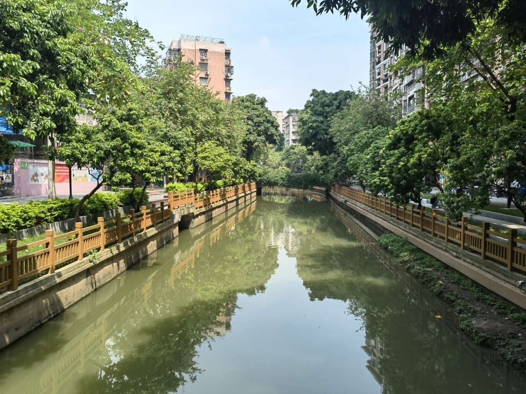 荔灣彩虹街：古水潤(rùn)民生，打造現(xiàn)代化綠色生態(tài)“名片”
