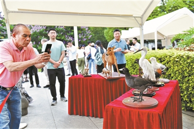 廣州市開(kāi)展2024年國(guó)際生物多樣性日宣傳活動(dòng)