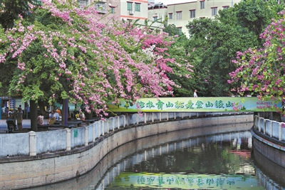生態(tài)治水的“廣州密碼”