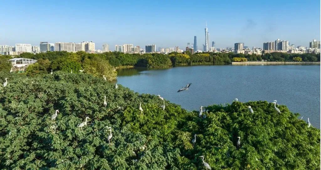 2024年環(huán)境日宣傳活動6月2日啟動