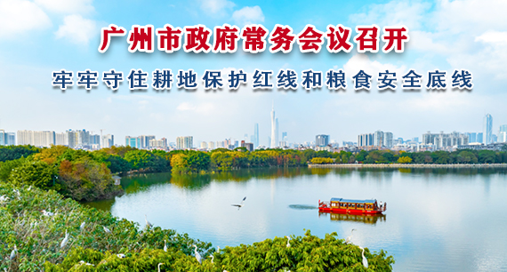 【一圖讀懂】一圖讀懂16屆72次市政府常務(wù)會議