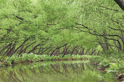 廣州推動海洋空間生態(tài)整體保護、系統(tǒng)修復