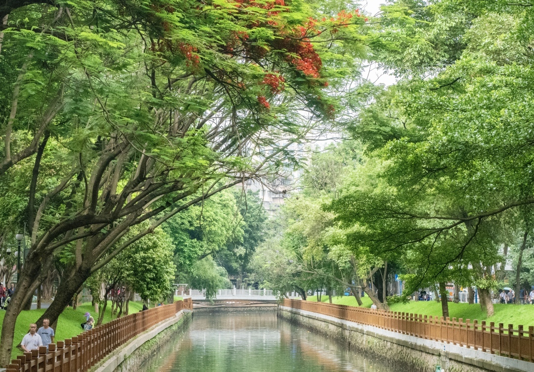 “綠美”共享，打造駟馬涌、荔枝灣高質(zhì)量濱水空間