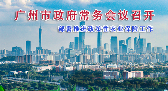 【一圖讀懂】一圖讀懂16屆74次市政府常務(wù)會議