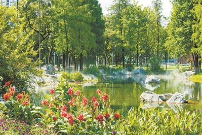 黃埔公園3.0升級(jí)亮相 番禺東沙古樟樹(shù)公園啟用