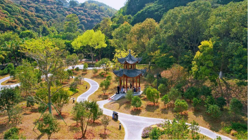 廣州增城：高標準建設(shè)廣東太子森林公園綠美示范保護地