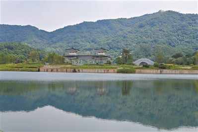 廣州黃埔知識城逕下水系變身綠美碧帶