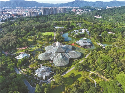 于廣州世外桃源 看世界植物奇珍