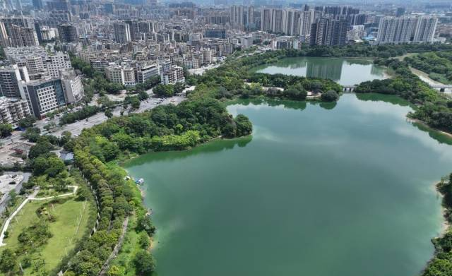 祝賀！花都湖國家濕地公園入選廣東省自然教育基地