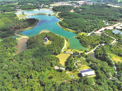 省級綠美碧帶、幸福河湖建設(shè)名單公布 廣州8個(gè)項(xiàng)目上榜