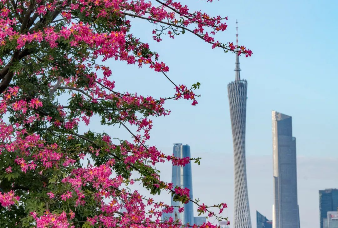 廣州市發(fā)布2024年第3號(hào)總林長令