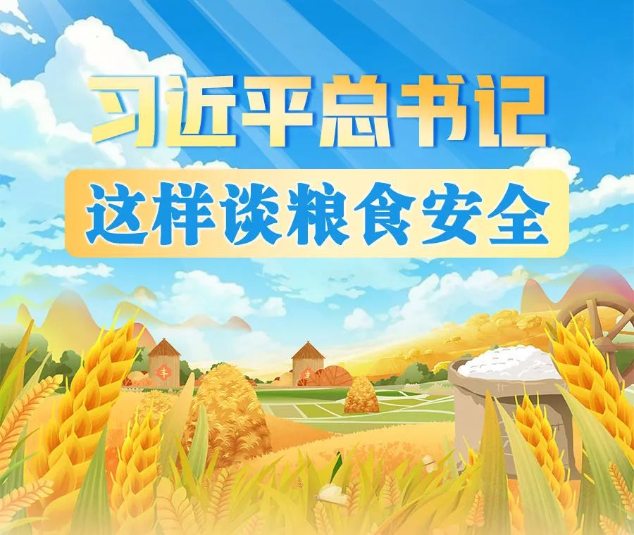 學(xué)習(xí)進(jìn)行時(shí)丨習(xí)近平總書記這樣談糧食安全