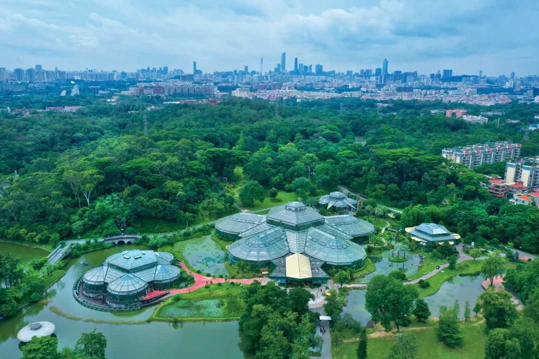 串聯(lián)廣州三大森林公園！市中心森林步道要來了