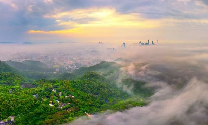 來了！廣州新增一個國家4A級旅游景區(qū)！