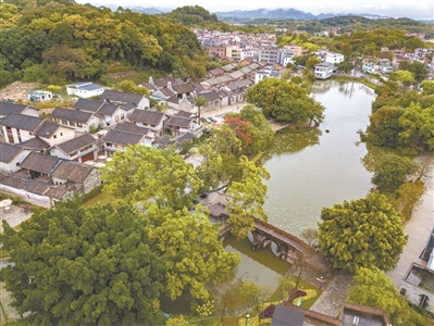 周末好去處 打卡廣州14條精品新鄉(xiāng)村示范帶