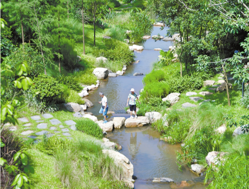 廣州構(gòu)建從國家植物園到城市公園再到社區(qū)綠地的植物遷地保護(hù)網(wǎng)絡(luò)體系