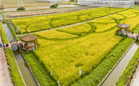 這個(gè)園區(qū)獲評(píng)國(guó)家3A級(jí)旅游景區(qū)，將打造成廣州農(nóng)旅名片