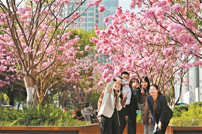 打造美麗中國城市樣板 深入推進(jìn)綠色轉(zhuǎn)型 羊城處處向“新”向“美”