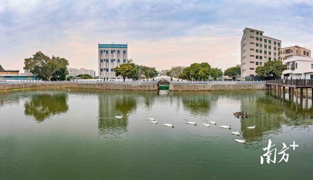 來源:白云區(qū)攝影家協(xié)會