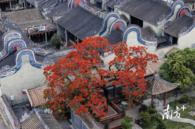 白云龍歸街南村村：文化“蓮”心，以“荷”動(dòng)人