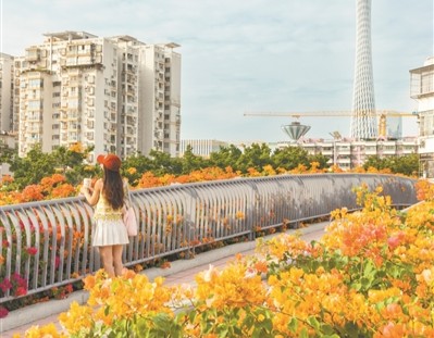 綠美花城讓人奔赴更愿扎根