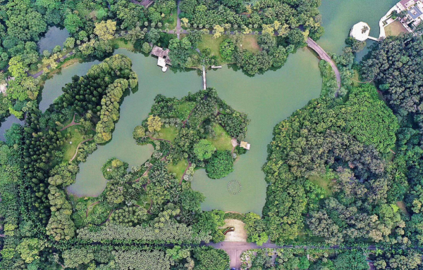 華南國家植物園構(gòu)建“水下森林” 其生態(tài)湖入選廣州市美麗河湖