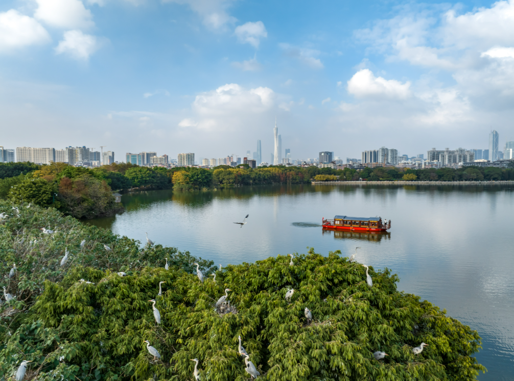 廣州出臺(tái)自然保護(hù)地環(huán)境監(jiān)管指引 根據(jù)自然保護(hù)地生態(tài)環(huán)境風(fēng)險(xiǎn)高低分類監(jiān)管