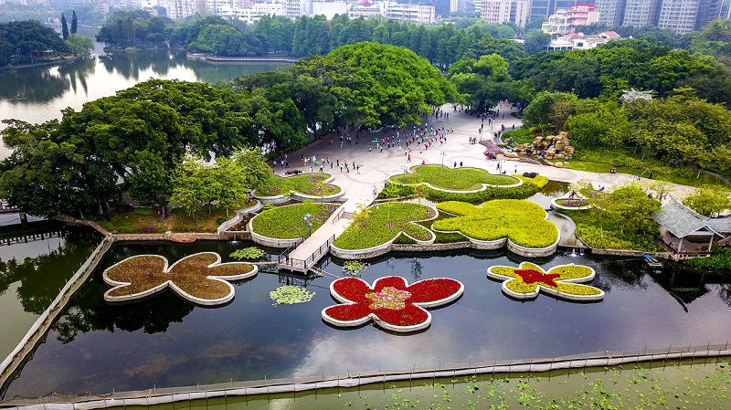 流花湖公園將有新動(dòng)作 建廣東首個(gè)國(guó)際盆景交流中心