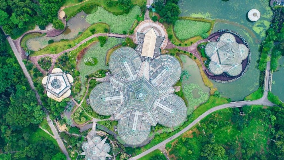 中國(guó)科學(xué)院華南植物園碳匯研究取得重大成果