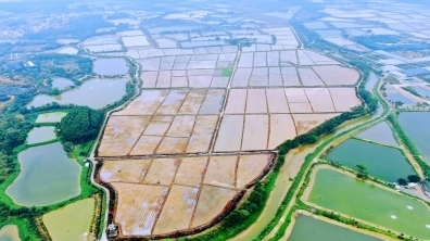 廣州市耕地保護(hù)規(guī)劃征詢(xún)意見(jiàn)