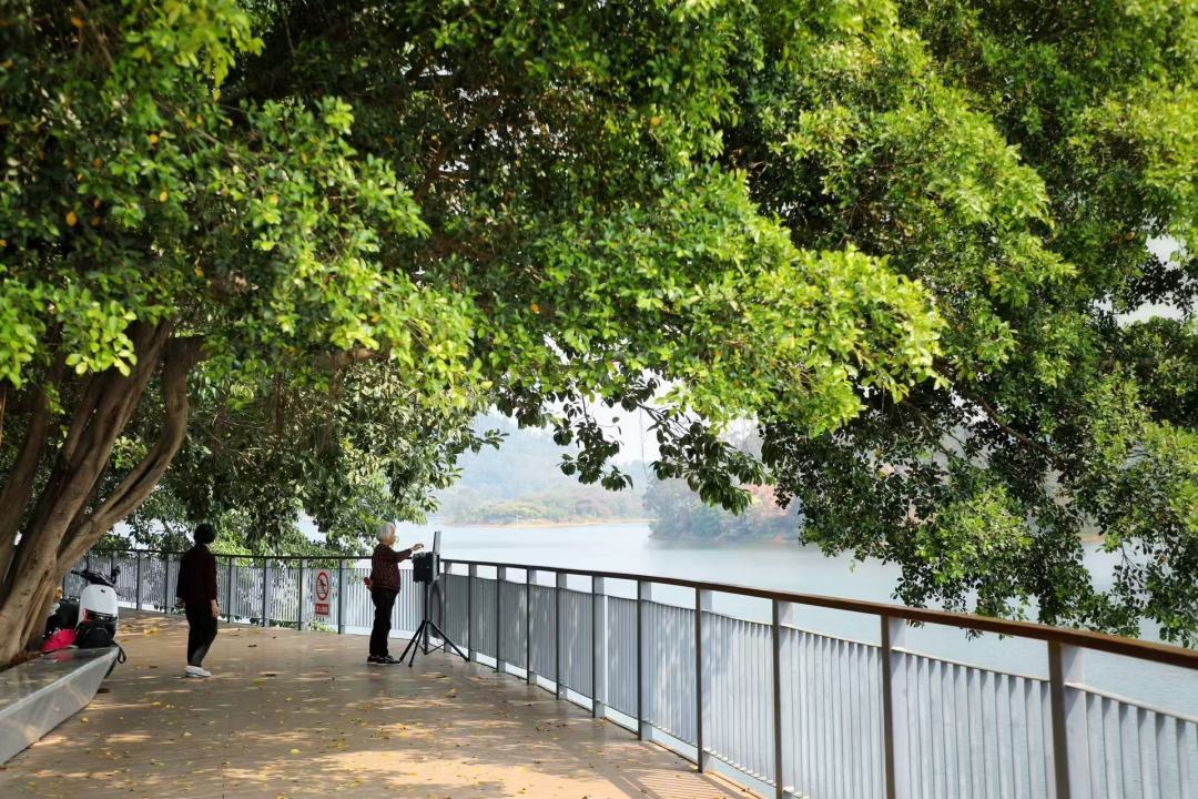 散步、慢跑、騎行、觀景！快來(lái)打卡廣州和龍水庫(kù)碧道