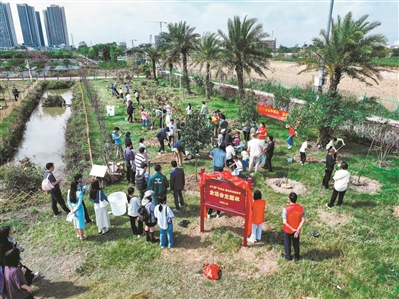 今年以來廣州開展植樹活動(dòng)超1600場 澆灌出城市滿目蔥蘢