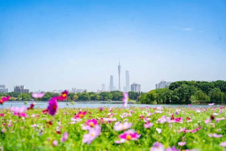 高標(biāo)準(zhǔn)打造廣州服務(wù)“名片”