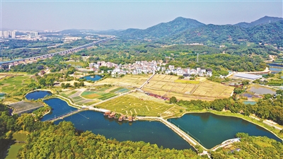 執(zhí)文旅之筆 繪振興藍(lán)圖