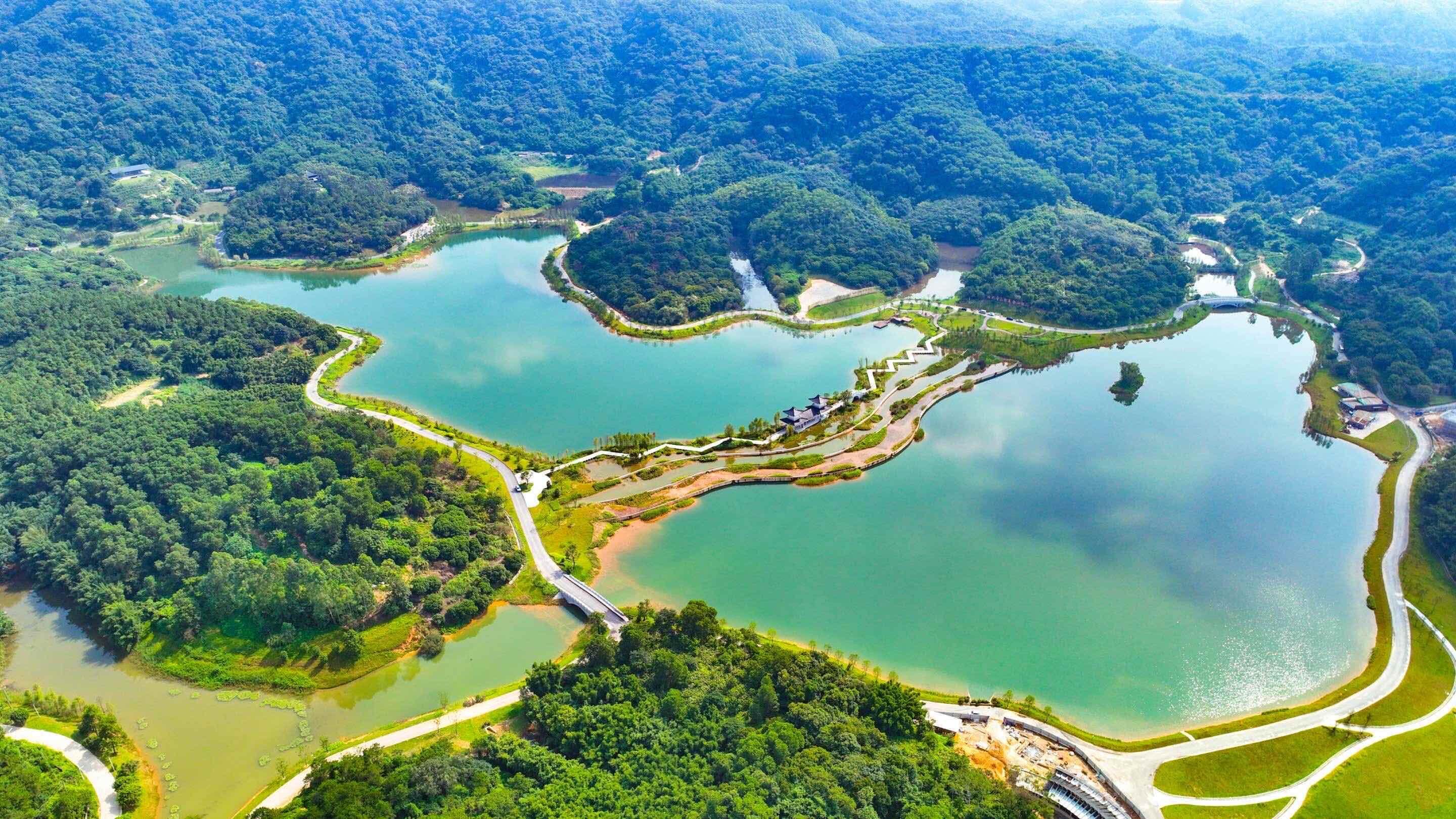 海不揚(yáng)波激蕩創(chuàng)新活力，黃埔再續(xù)“羊城八景”情緣