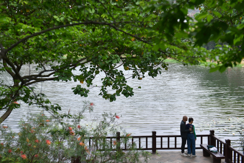 以綠為底，以花為媒！廣州公園景區(qū)80余項1400多場活動“慶國慶、迎全運”