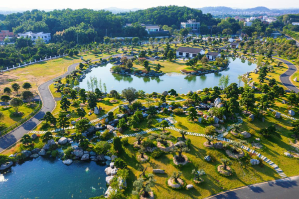花都區(qū)竹洞村：盆景產業(yè)開新路，洪拳碧湖繪和美