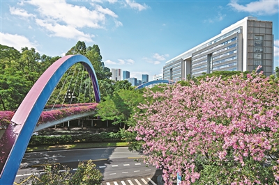 3條“黃埔云道”近期開放 免費開放 無須預(yù)約 不限時段