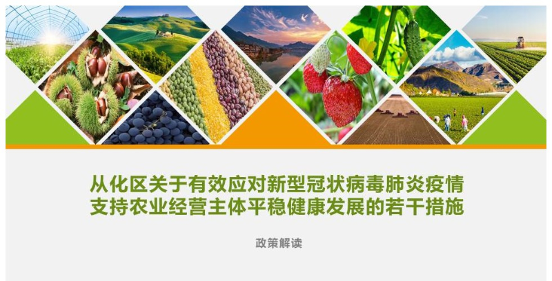 【一圖讀懂】《從化區(qū)關(guān)于有效應(yīng)對(duì)新型冠狀病毒肺炎疫情支持農(nóng)業(yè)經(jīng)營主體平穩(wěn)健康發(fā)展的若干措施》的解讀
