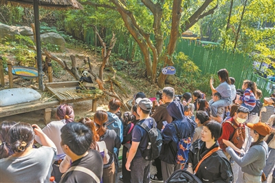 元旦假期廣州景區(qū)景點、商圈商場、餐廳食肆人氣暢旺游人如織