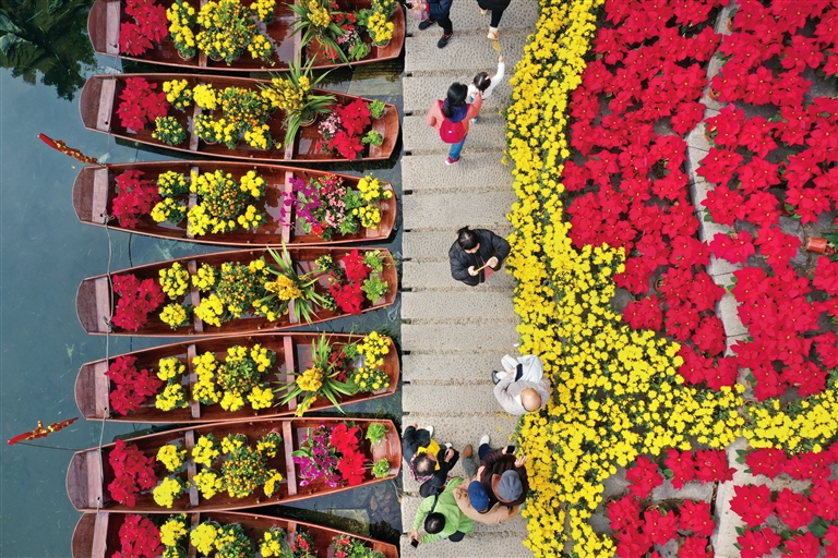 行花街、賞繁花……唱著《迎春花》品廣州年味