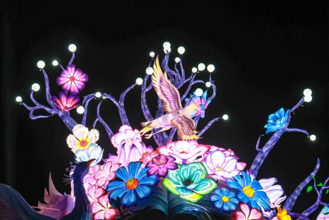 大灣區(qū)燈會(huì)震撼亮燈，附最新交通出行指引