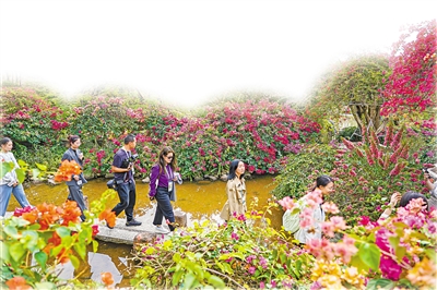 APEC，新年好！