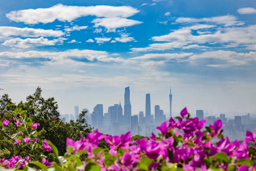 亞太經(jīng)合組織“中國年”看點多