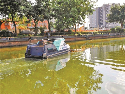 碧波蕩漾年味足 環(huán)衛(wèi)堅(jiān)守暖羊城