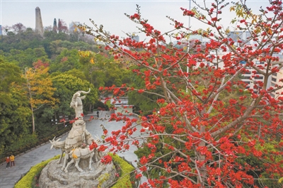 2026廣州“英雄花開英雄城”系列活動吸引線上線下逾三億人次參與互動